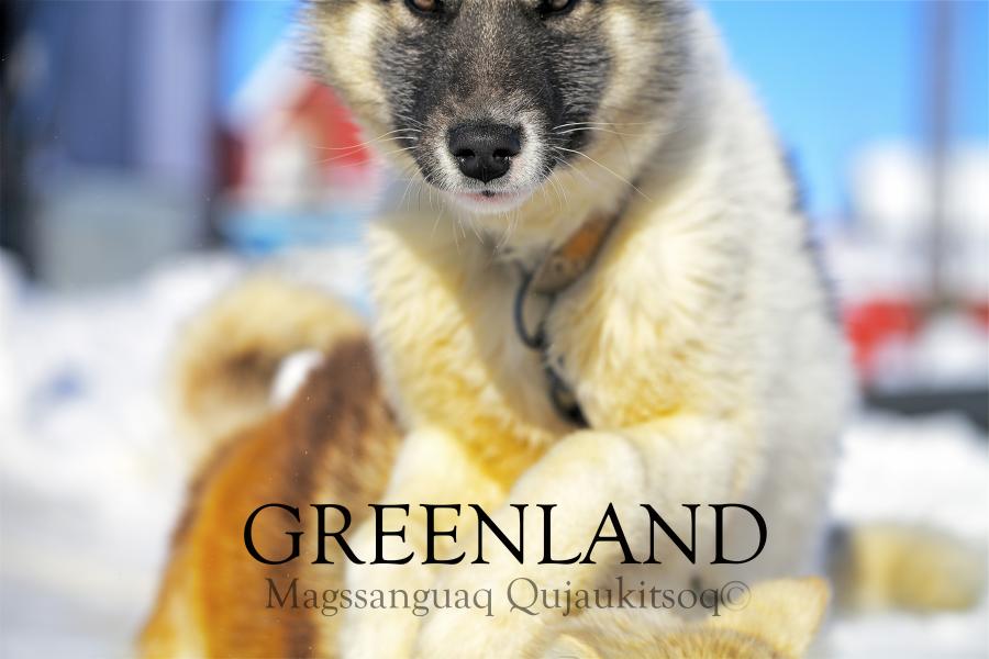 Kalaallit Nunaat