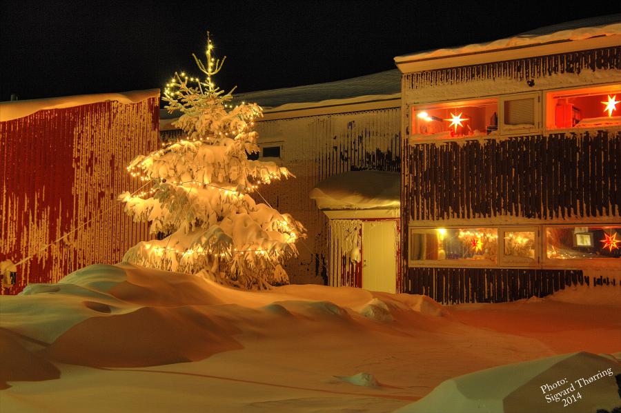 Juulli 2014 Ilulissat