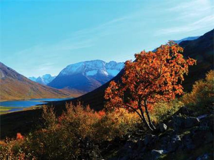 Ukialersumi napaartoq Qorl.2012 Ortooraq N