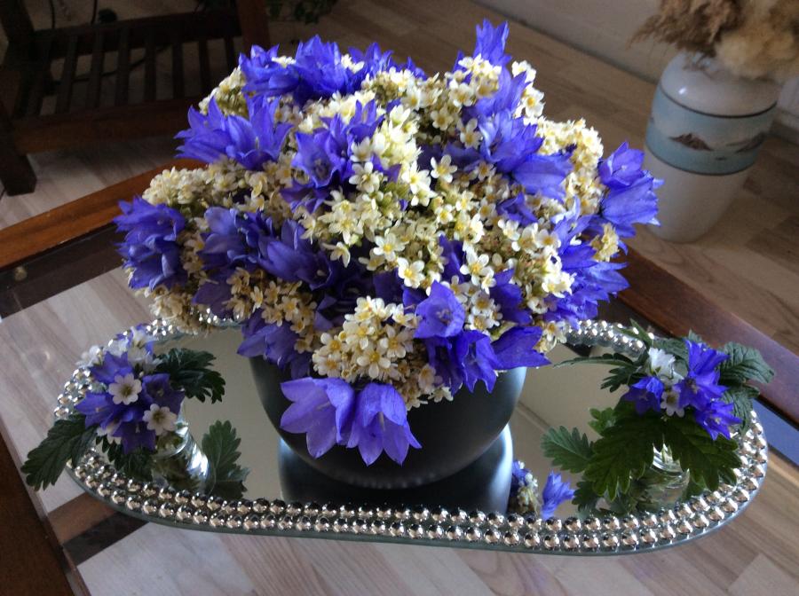 Blomster fra Qasigiannguit juli 2016