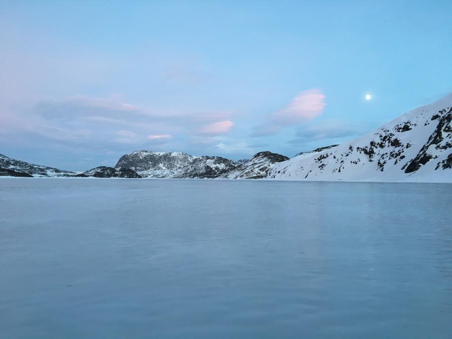 tasersuarmi.