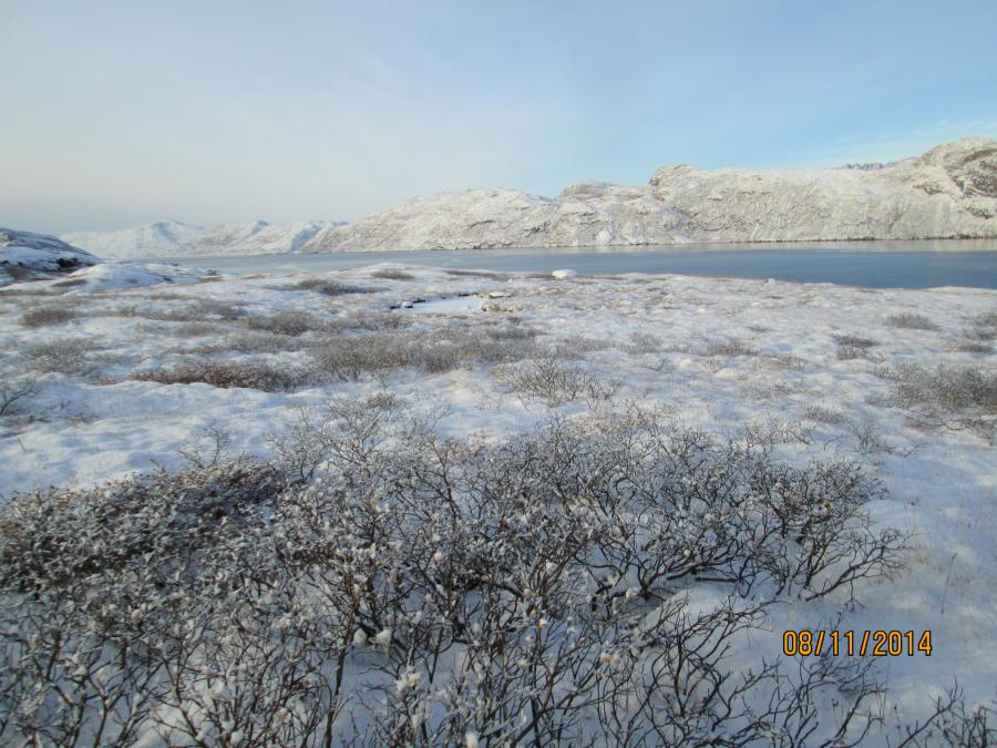 Qanisartuup tasiata tungaanut nov.2014