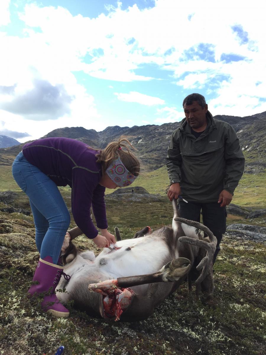 Hendes aataa (bedstefar) instruerer hende i hvordan man bearbejder rensdyret