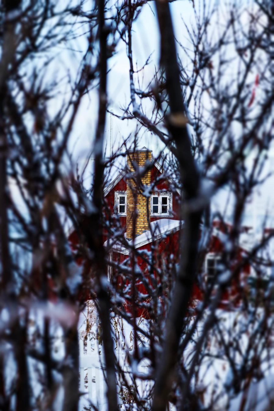 Cozy winter