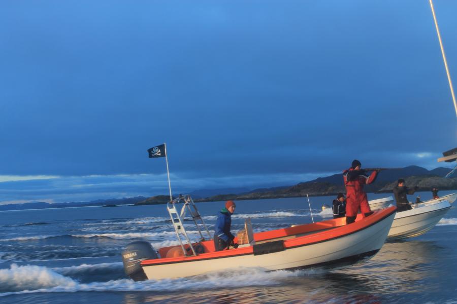 Attu, Jagt 2