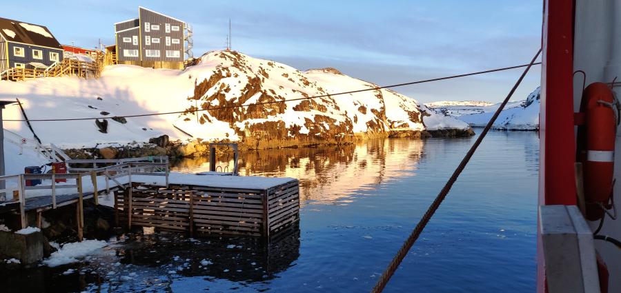 Polaroil silaginnersua kusanassusaa