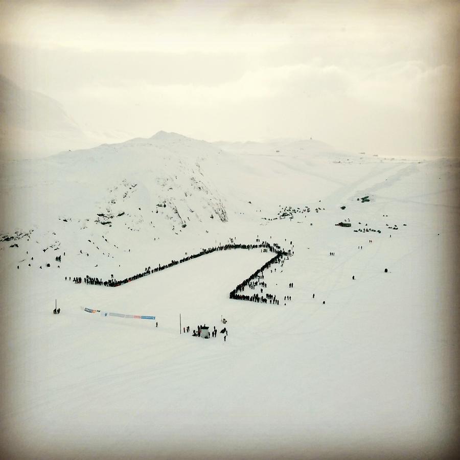 North Greenlandic Dogsledge Race, Qasigiannguit 30 March 2019