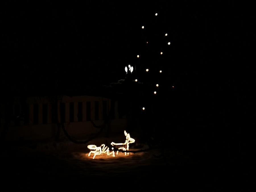 Juullip qaamataani