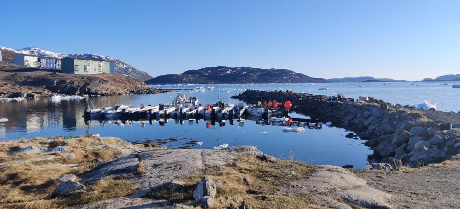 Akilliit. Narsaq, maajip 8-at 2021