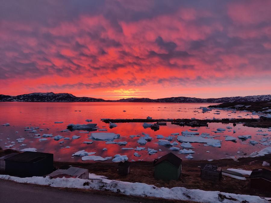 Isikkivinnguarliuna. Narsaq, apriilip 18-at 2022