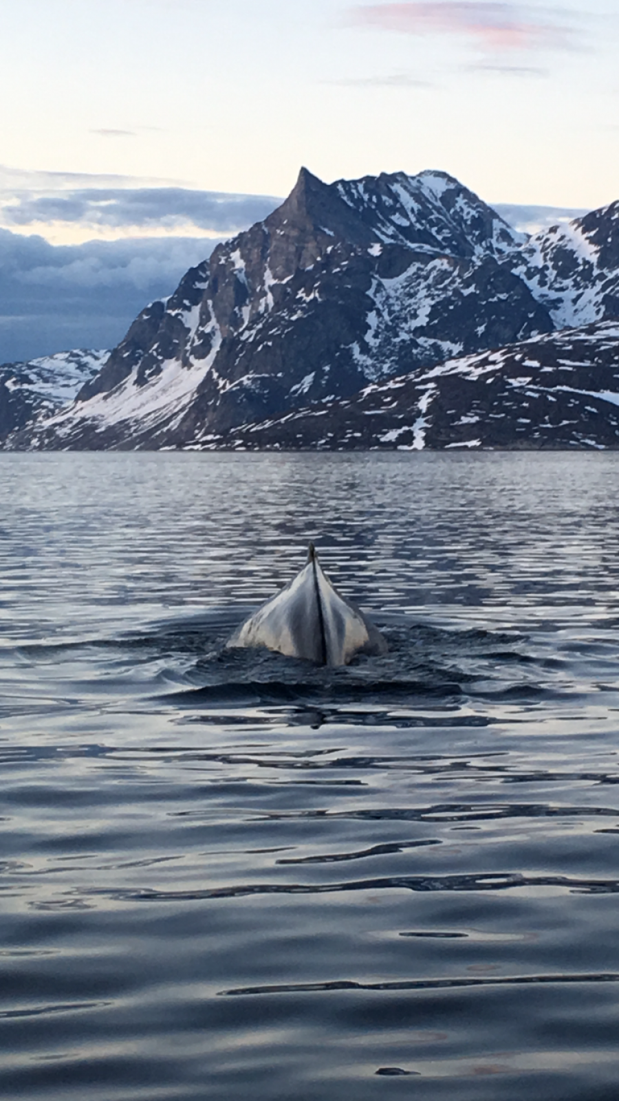 Sermitsiaq