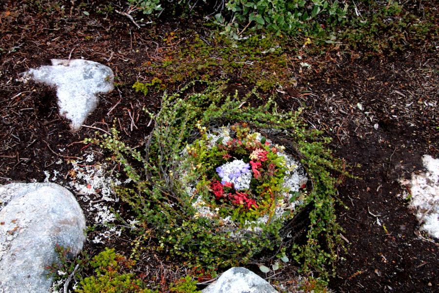 nunatta naasuinik sananeqarsimasoq