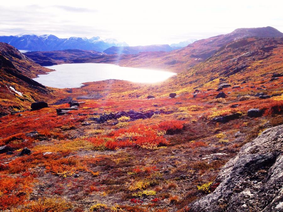 Rensdyrland - Qussuk/Narsaarsuk ved Nuuk