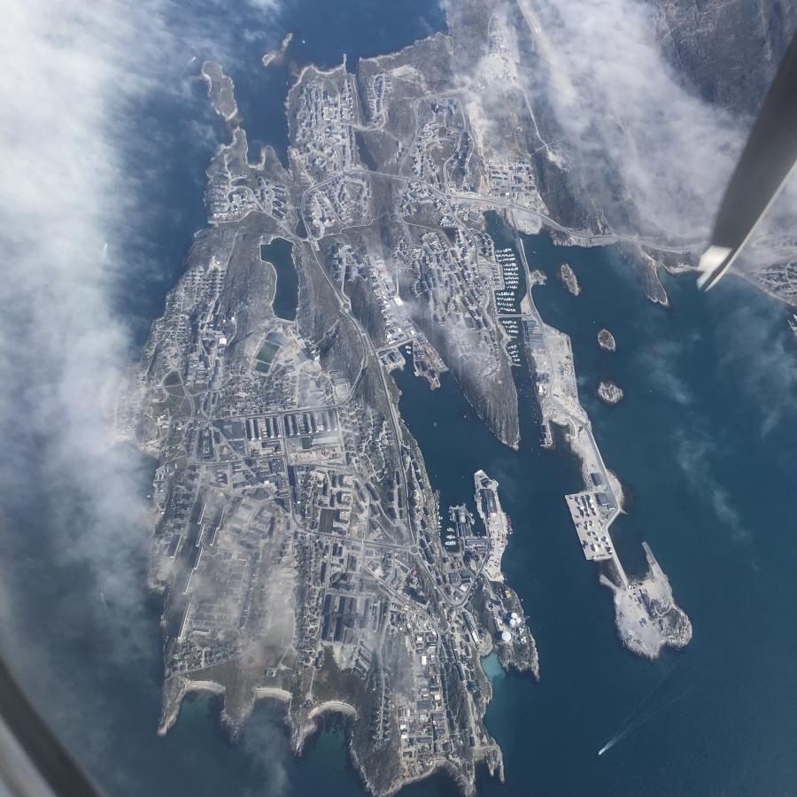 Nuuk timmisartumiit august 2019