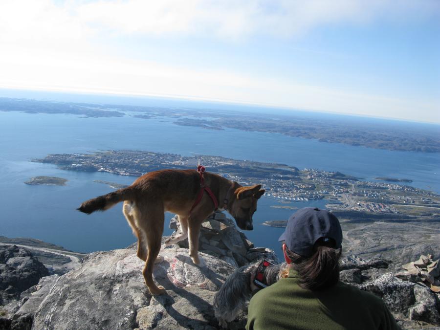 mini on top of Ukkusissat Nuuk