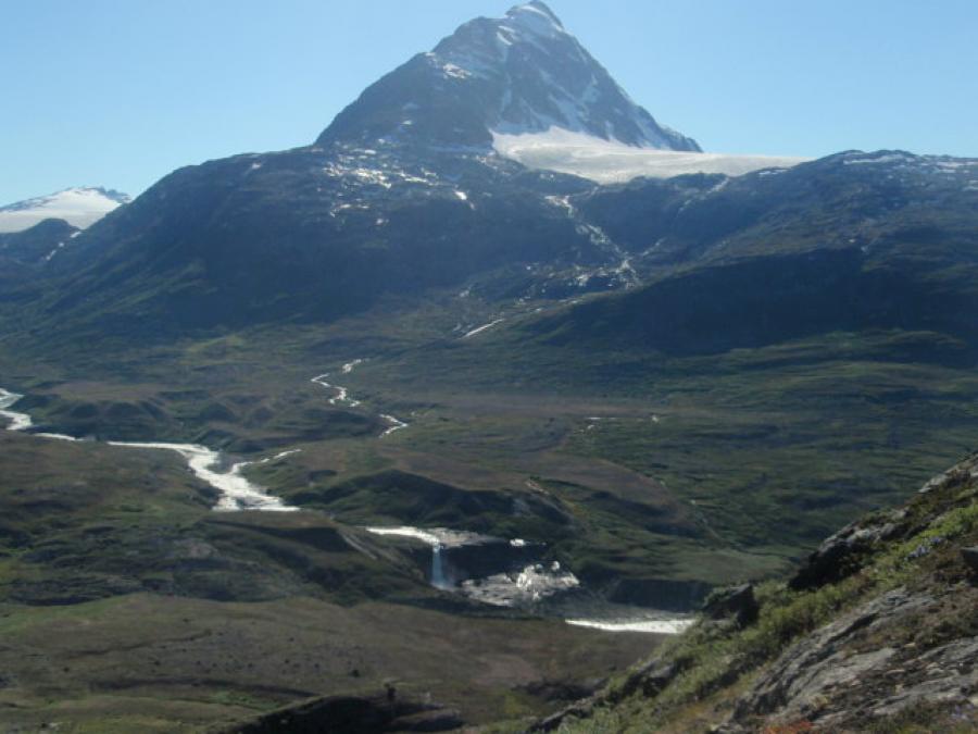 Maniitsoq Tupertalik 2017