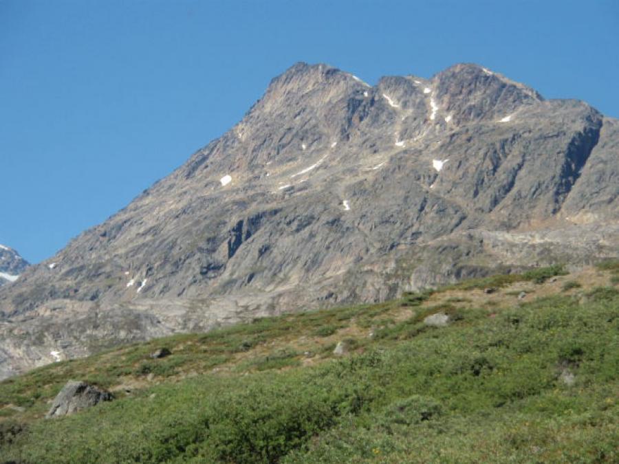 Maniitsoq Tupertalik 2017