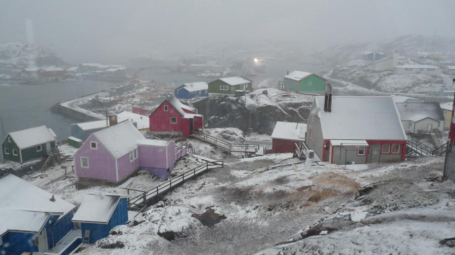 Maniitsoq apisoq
