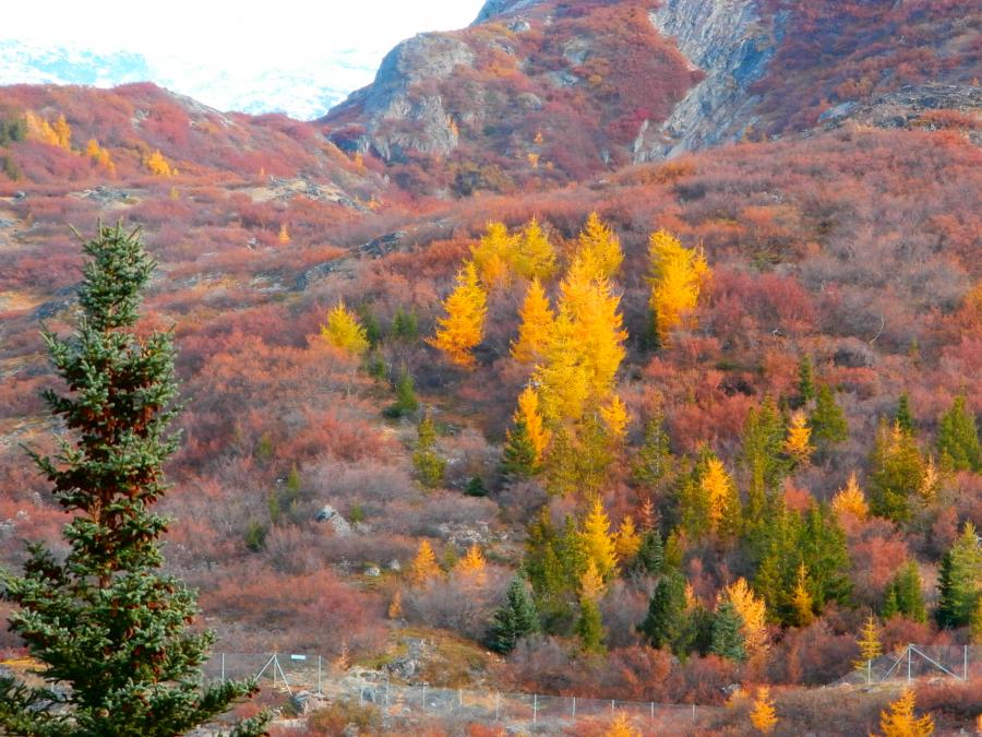 Narsarsuaq