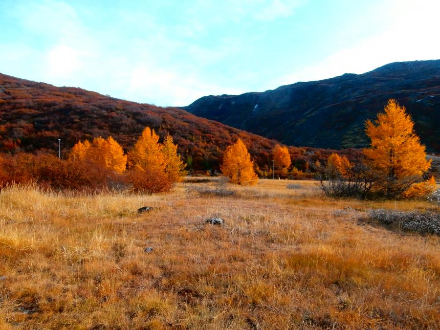 Narsarsuaq, 10. oktober 2014