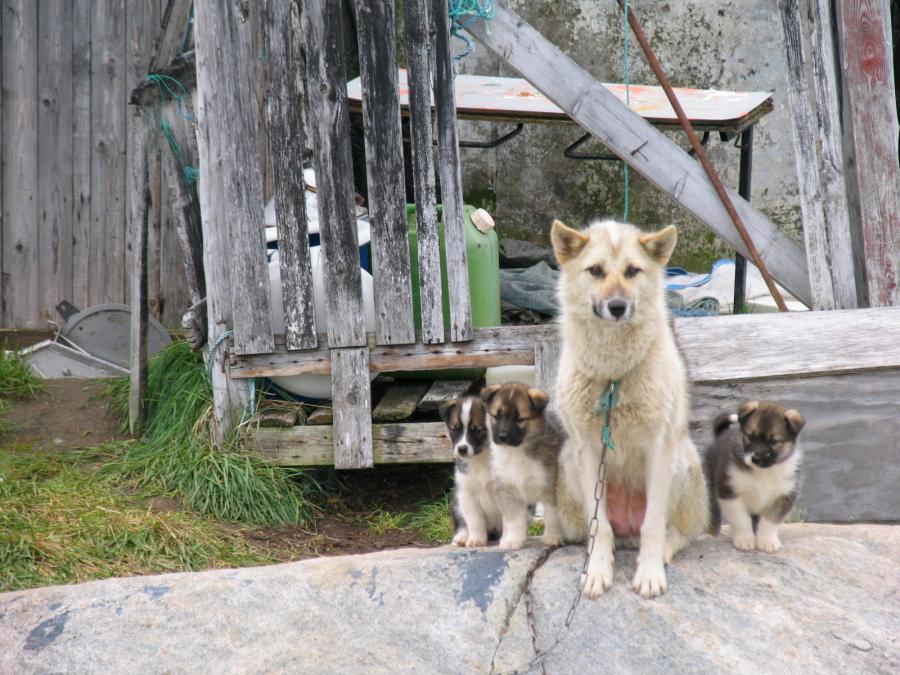 Ilimanaq