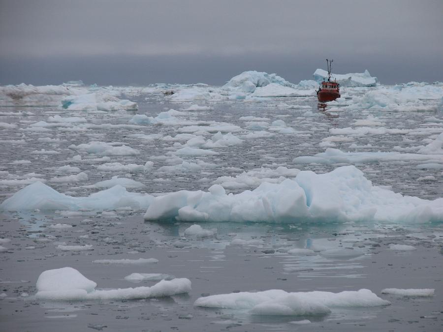 Ilulissat isfjord 12.07.2006