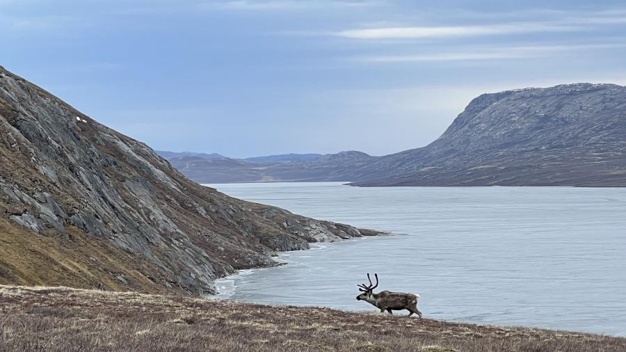 Nunarsuaq eqqissisimanarluinnartoq alakkarlutigu, takusat kusanat. Nunalu qorsooqqissiartortoq. Aajuitsup tasia, maajip 10-at 2023