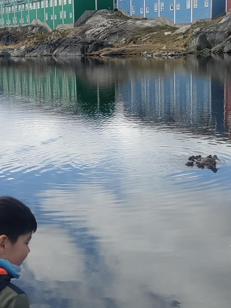 Endelig sommer i Nuuk