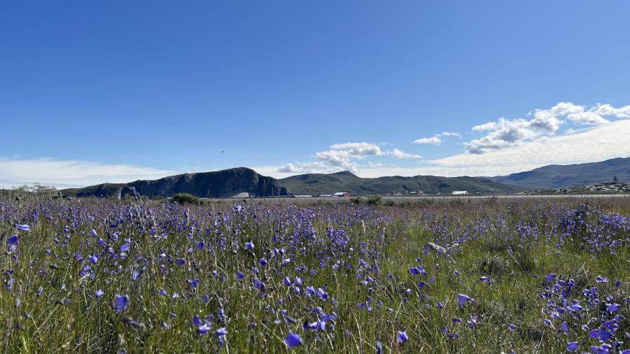 Ulloq silaannarissuaq kiak, ippernaqaranilu iluaq