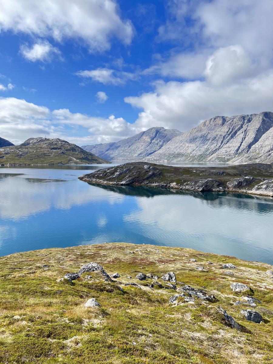 Plukning af sortebær i Kobberfjorden