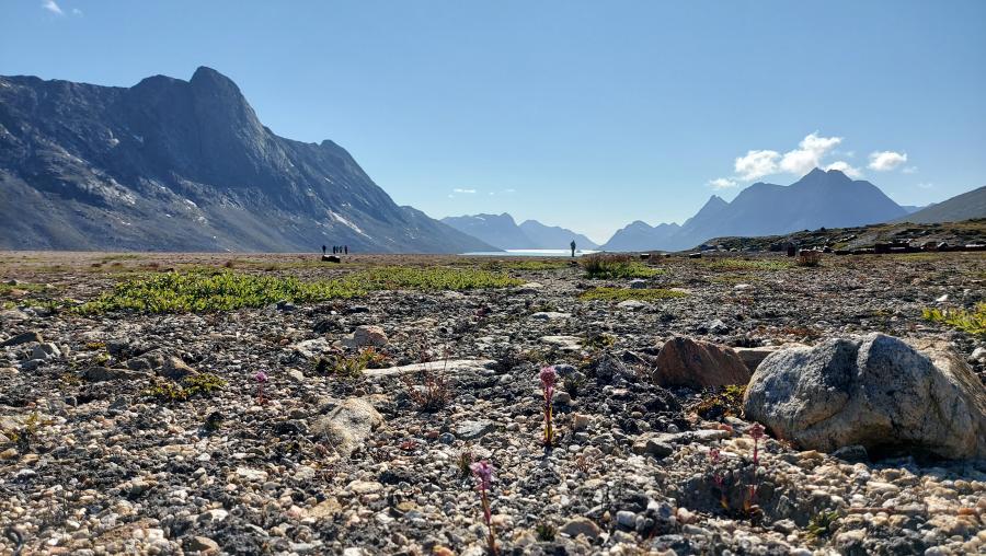 i 2019 blev der ryddet noget op. Foto ef taget så det skrot der er tilbage ikke ses. Folkene er fra Grønnedalsfireningen. Foto: iina Nete Sølvssøe