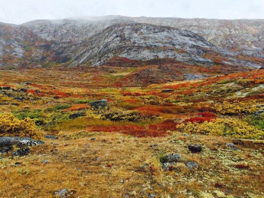 Illuaqqatsinniit isikkivik ukialeqaaq. Qeqertalik, Sisimiut, septembari 2021