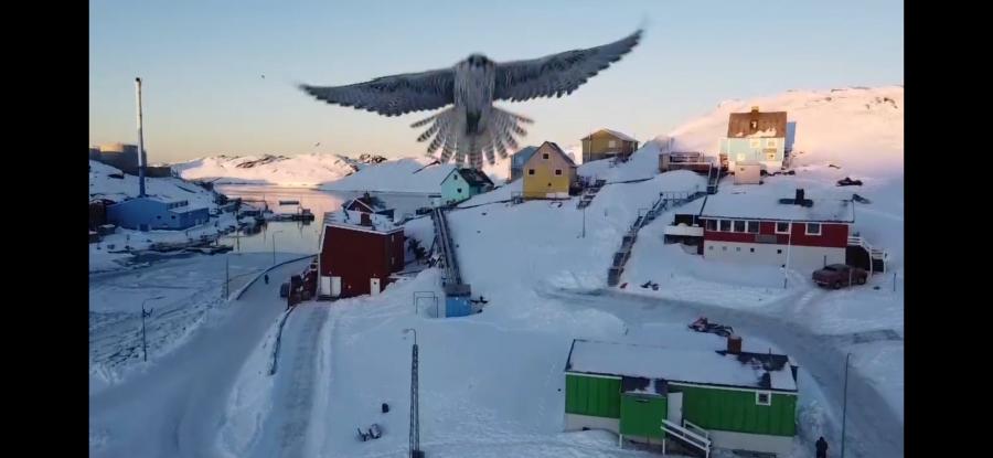 Drone-rnermi takkuteriasaartoq. Paamiut, februaarip 16-iat 2021