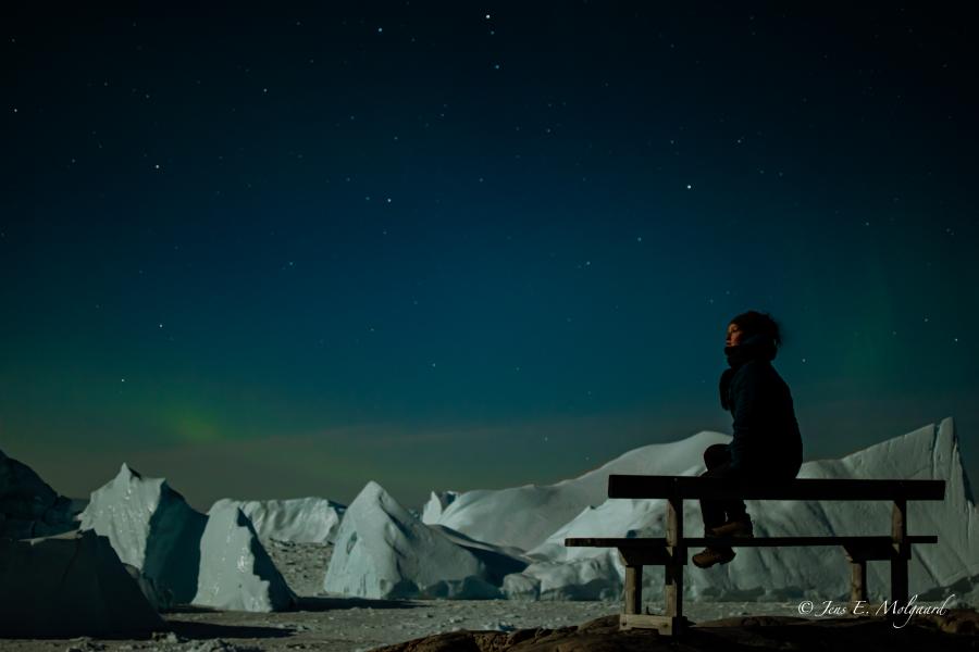 Night Arctic View