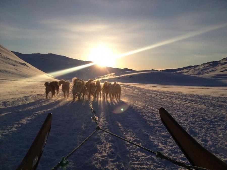 Solnedgang fra en hundeslæde