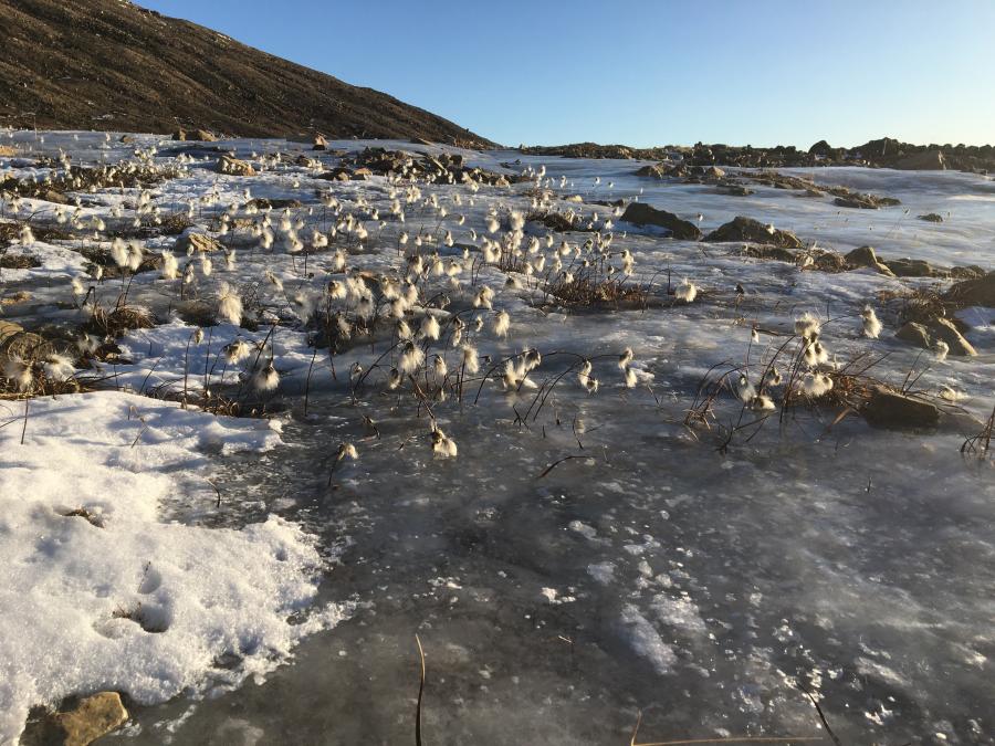 Qaanaaq ukiaq 2017