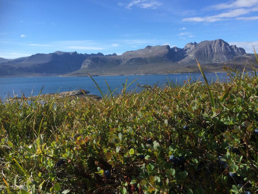 Nanortaliup eqqanni Umiviarsummi kigutaarnat